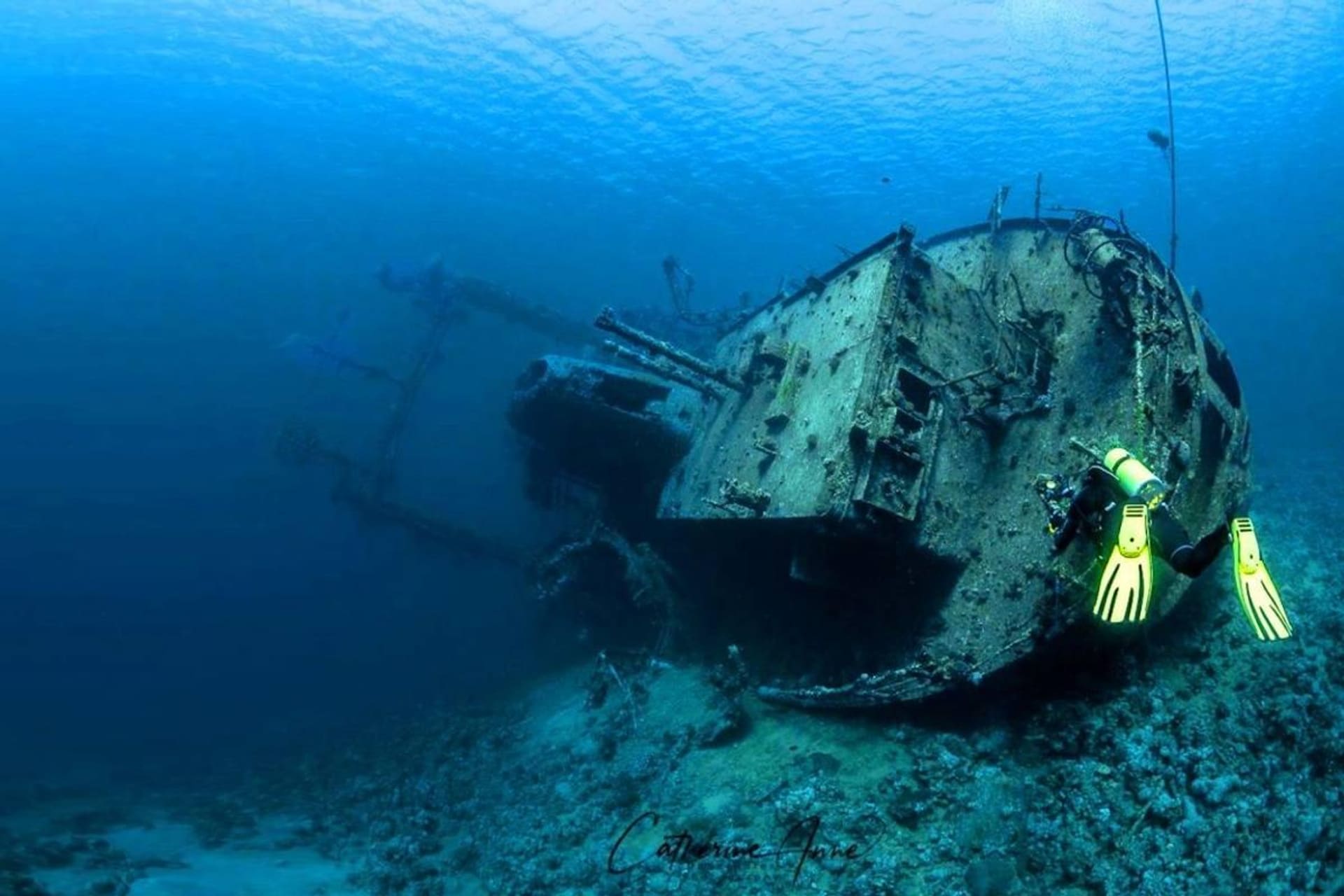Wreck Dive — Cedar Pride