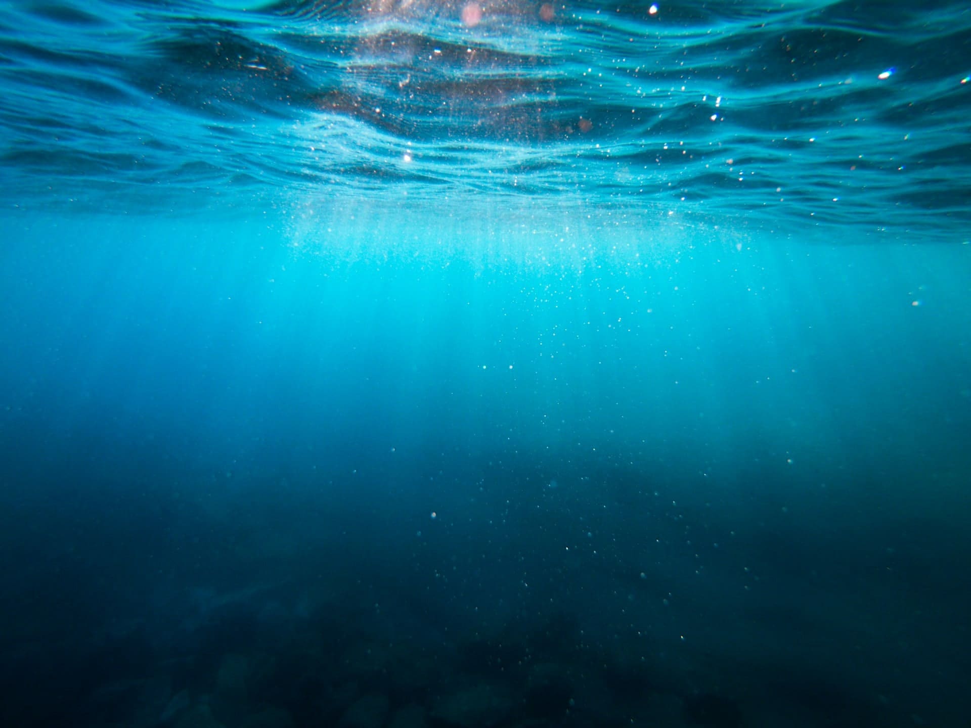 Diver exploring underwater