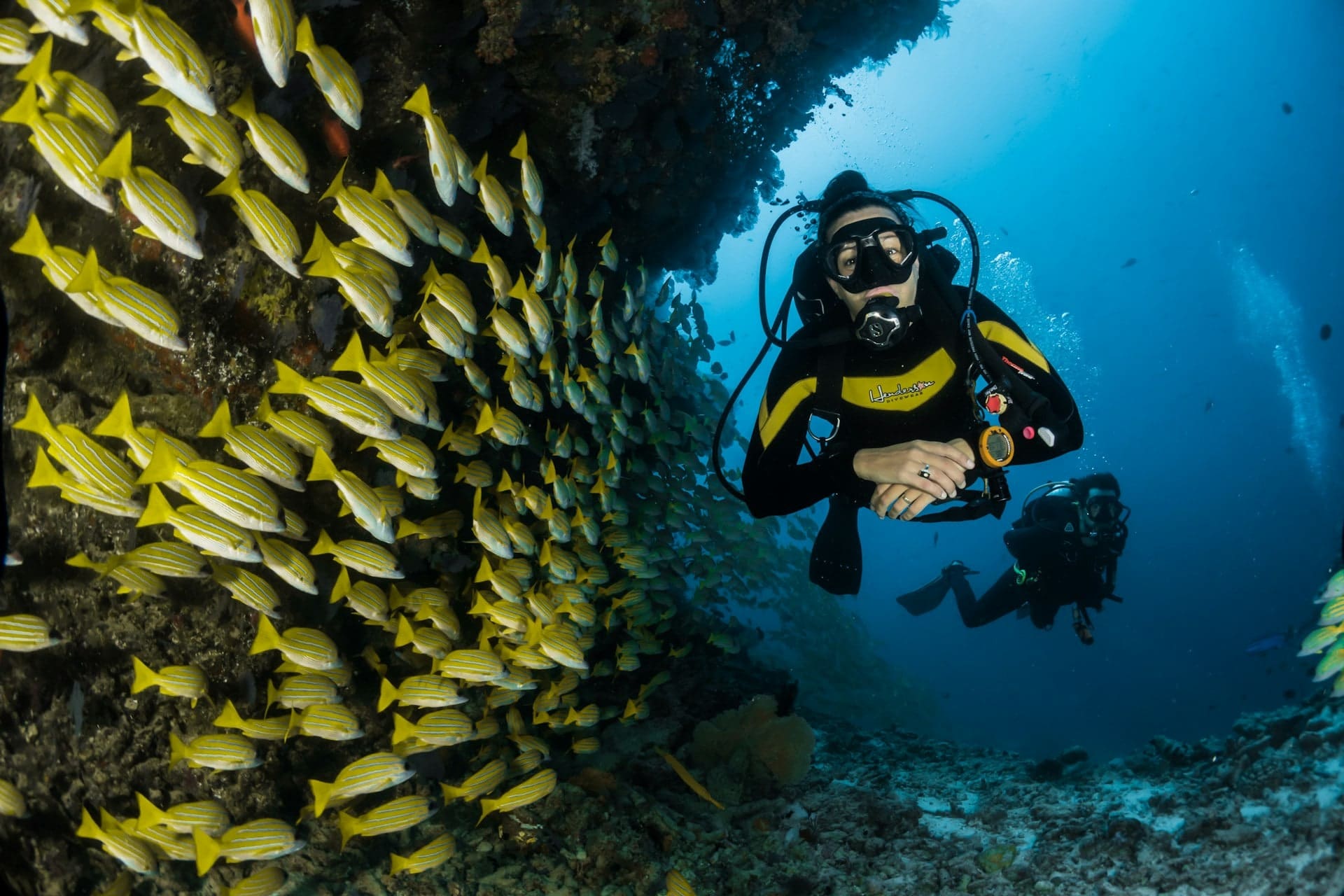 Scuba diver exploring the Red Sea