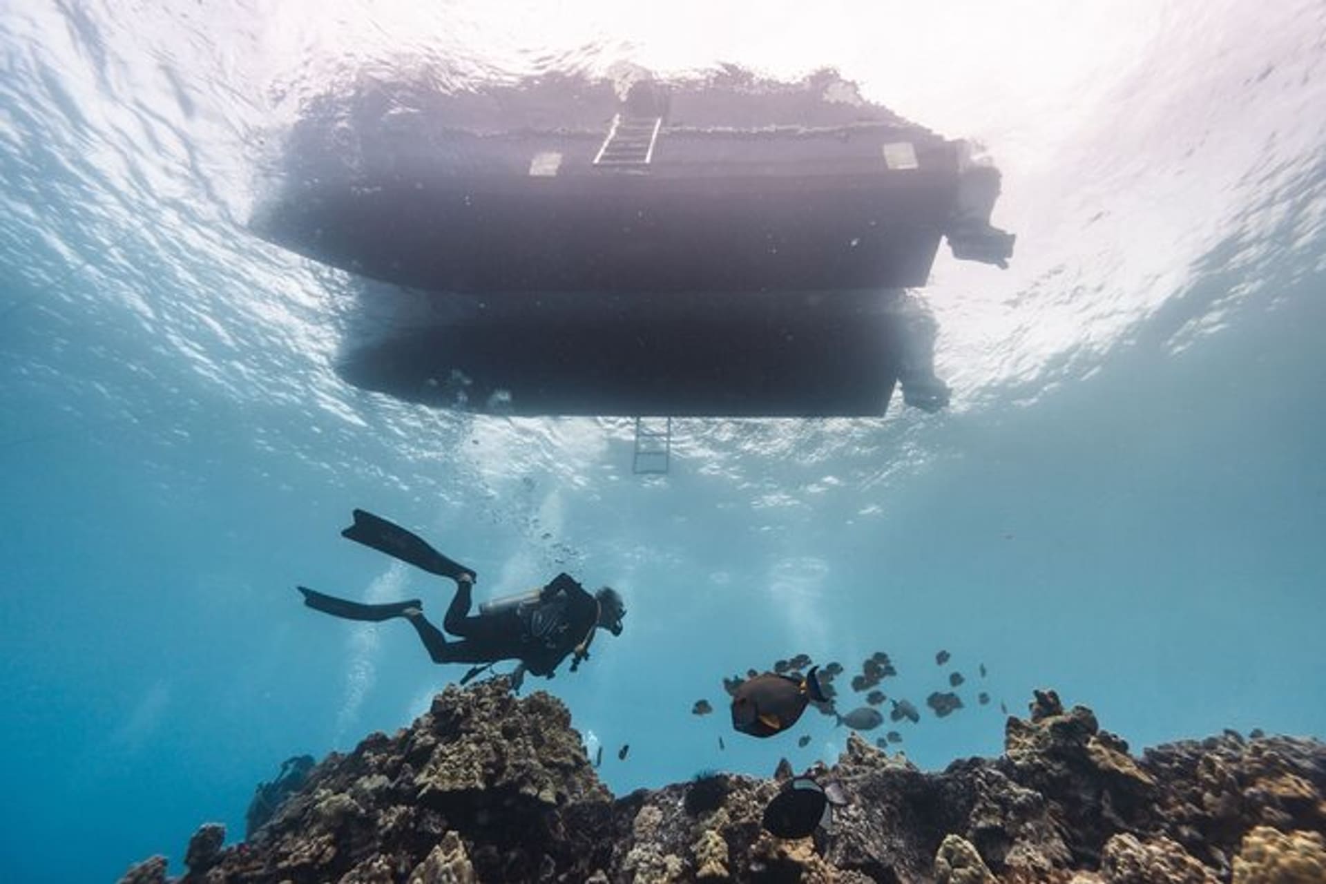 Two-Tank Boat Dive