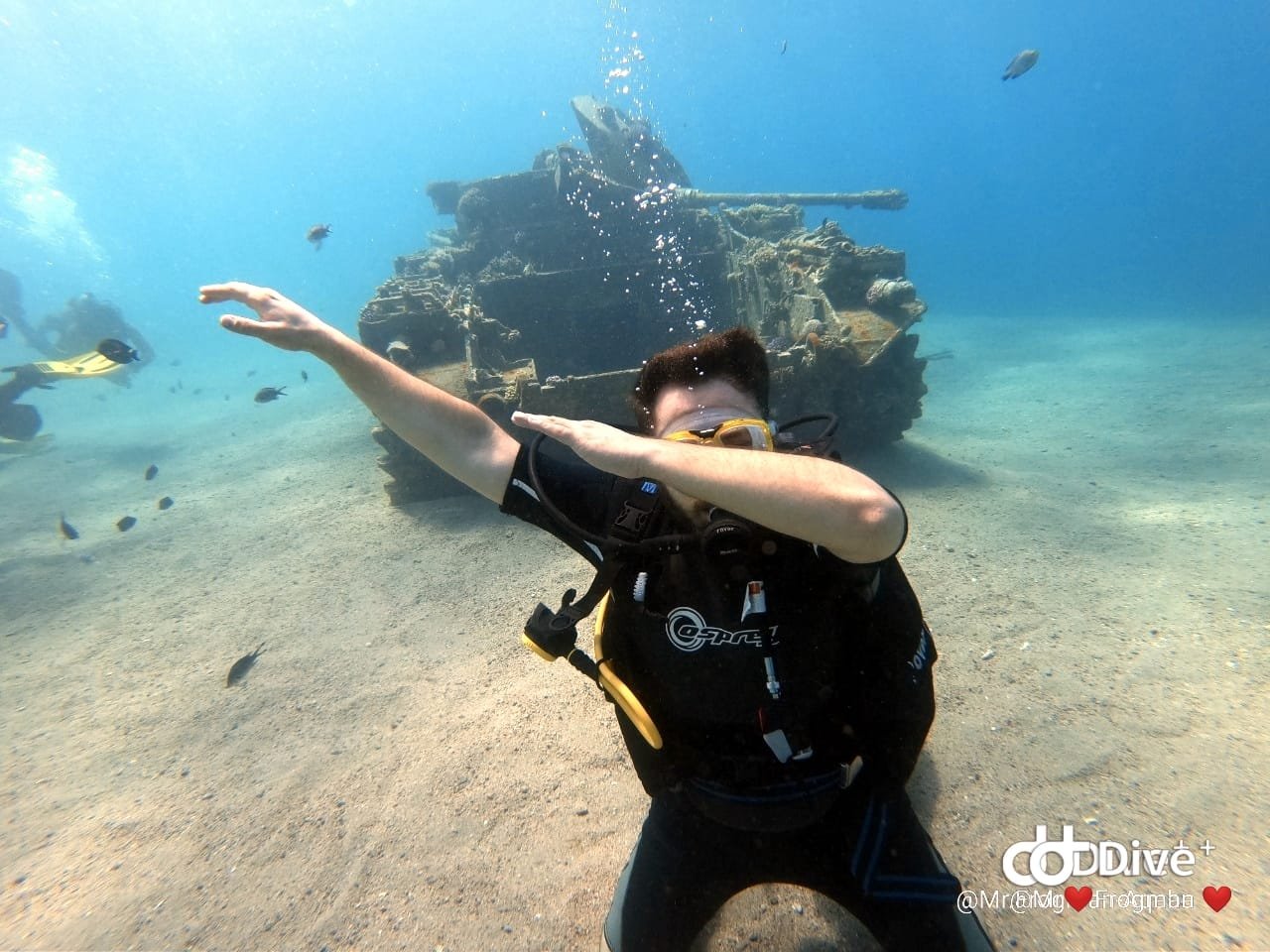 Diving in Aqaba